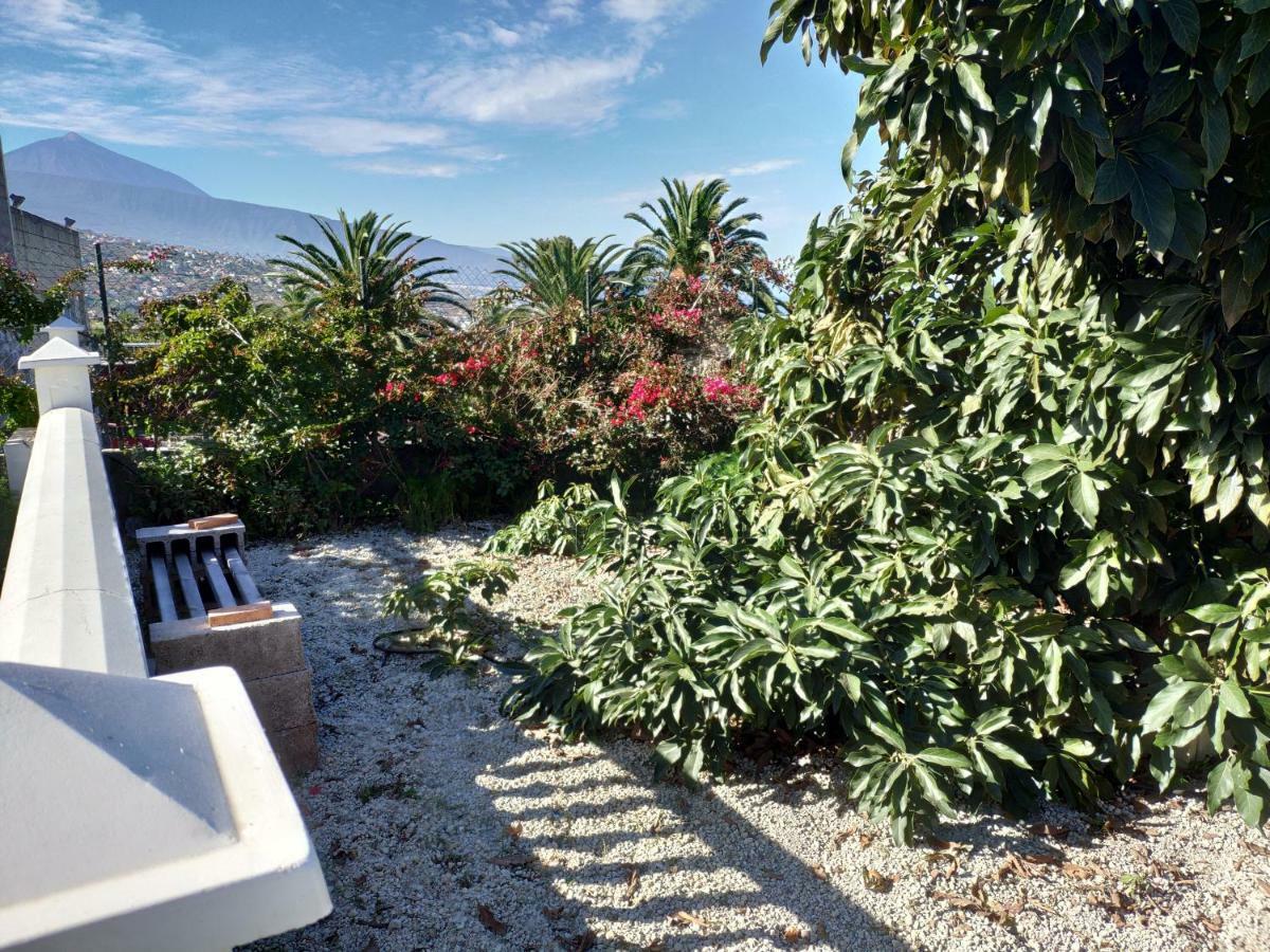 Villas Norte Piscina Privada Climatizada La Victoria de Acentejo Ngoại thất bức ảnh